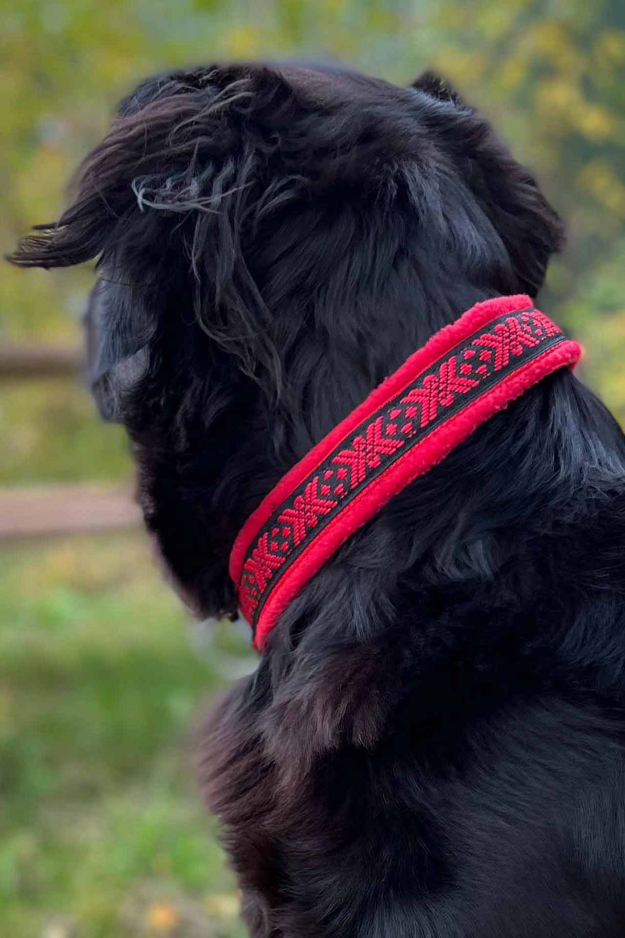 Røroslabben halsbånd på hund