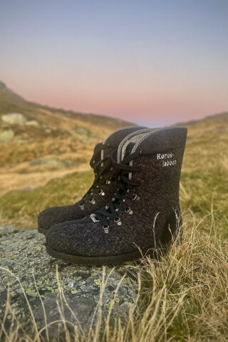 RØROSLABBEN PÅ FJELLET