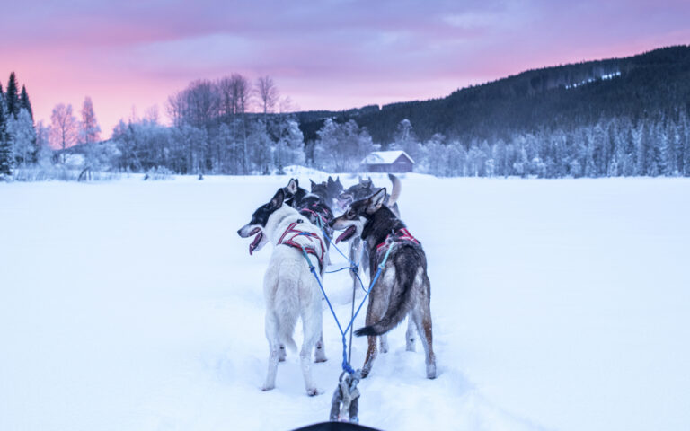VARME FØTTER PÅ KALDE VINTERDAGER