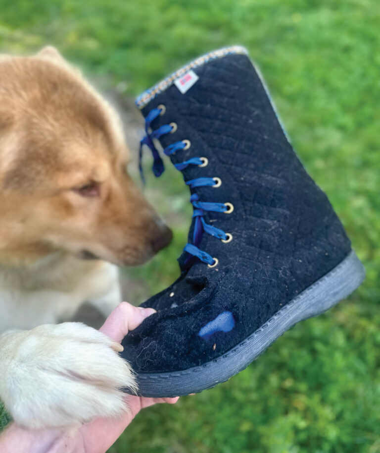 Nå gir vi pant på ullfiltlabber